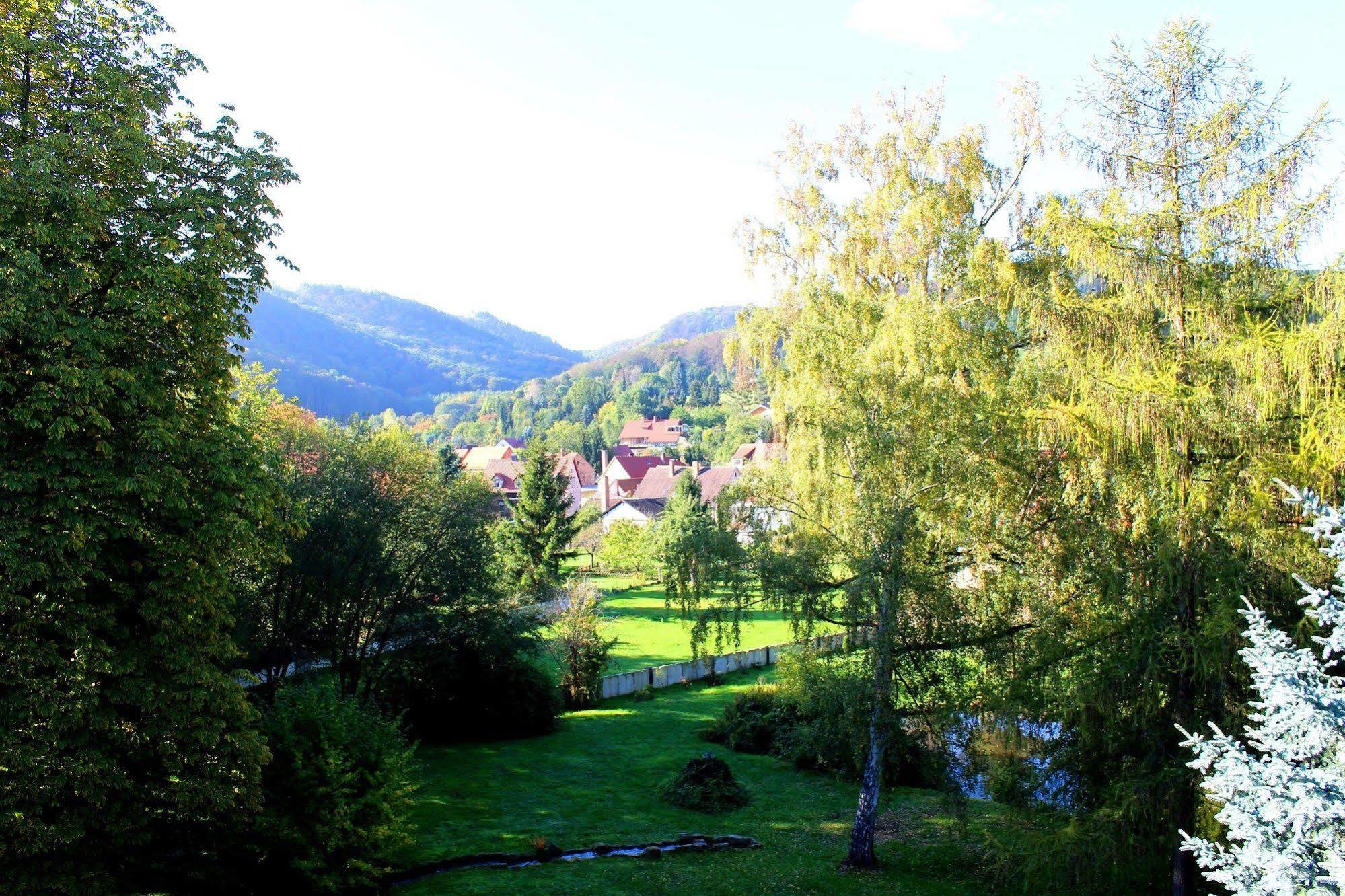 טאלה Schlosshotel Stecklenberg מראה חיצוני תמונה